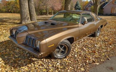 Pontiac-Grand-am-1973-3