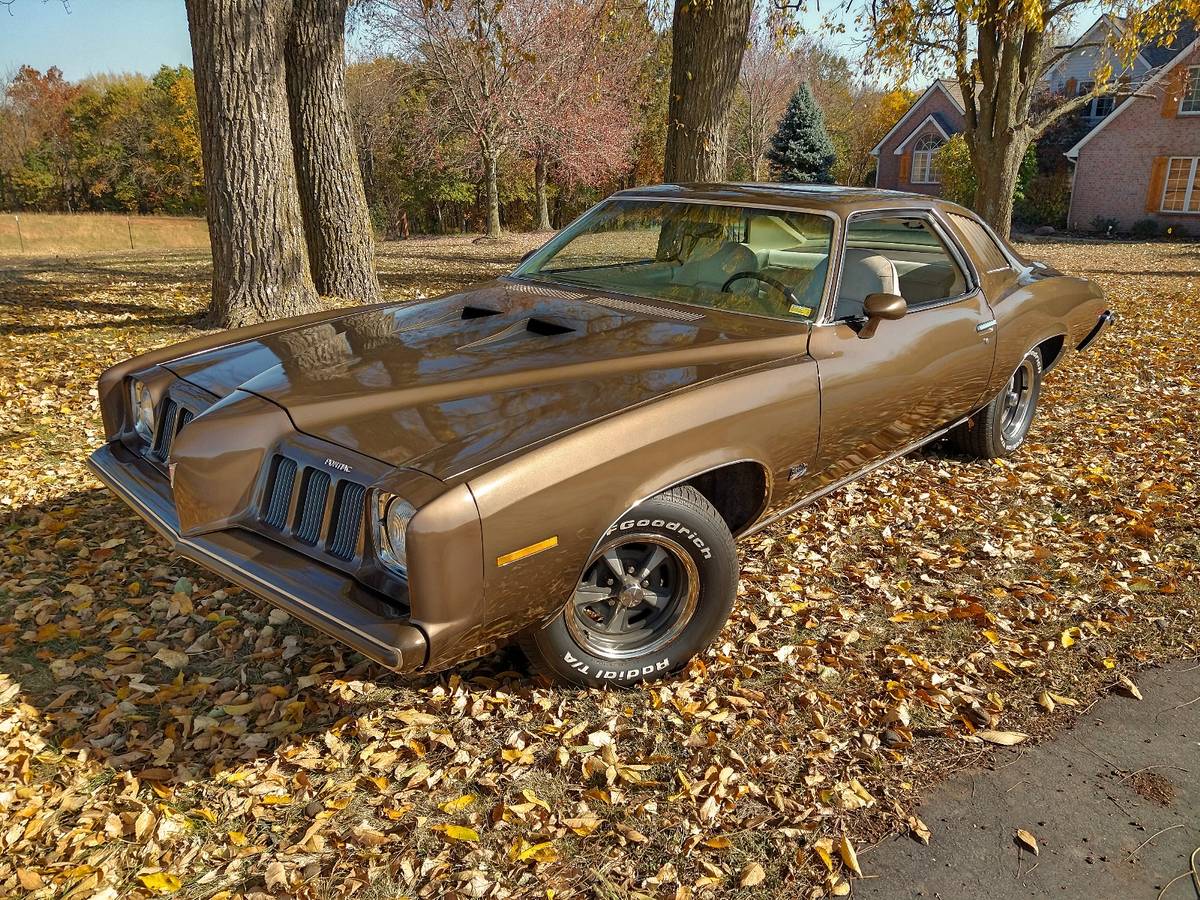 Pontiac-Grand-am-1973-3