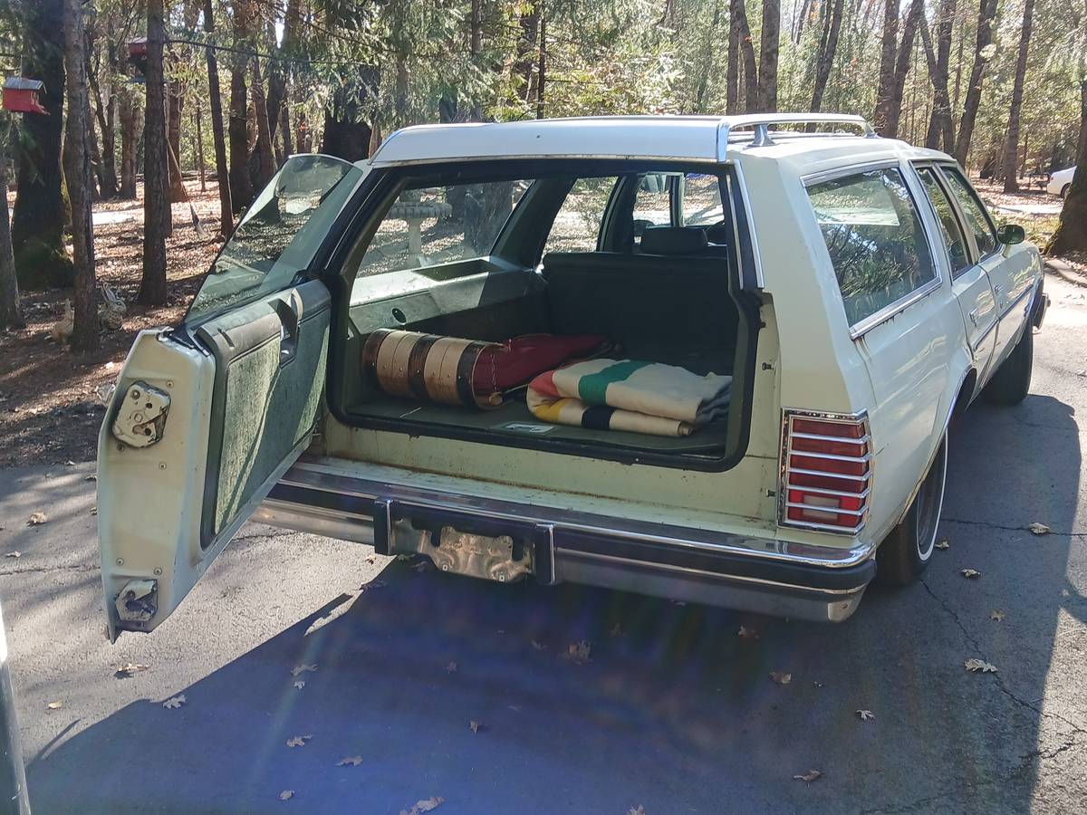 Pontiac-Grand-safari-station-wagon-1979-15