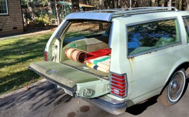 Pontiac-Grand-safari-station-wagon-1979-3