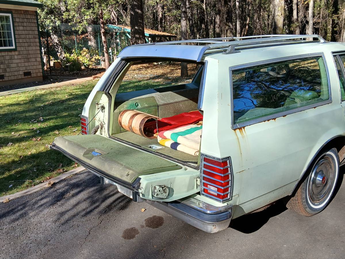 Pontiac-Grand-safari-station-wagon-1979-3