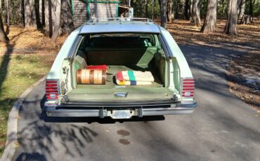 Pontiac-Grand-safari-station-wagon-1979-5