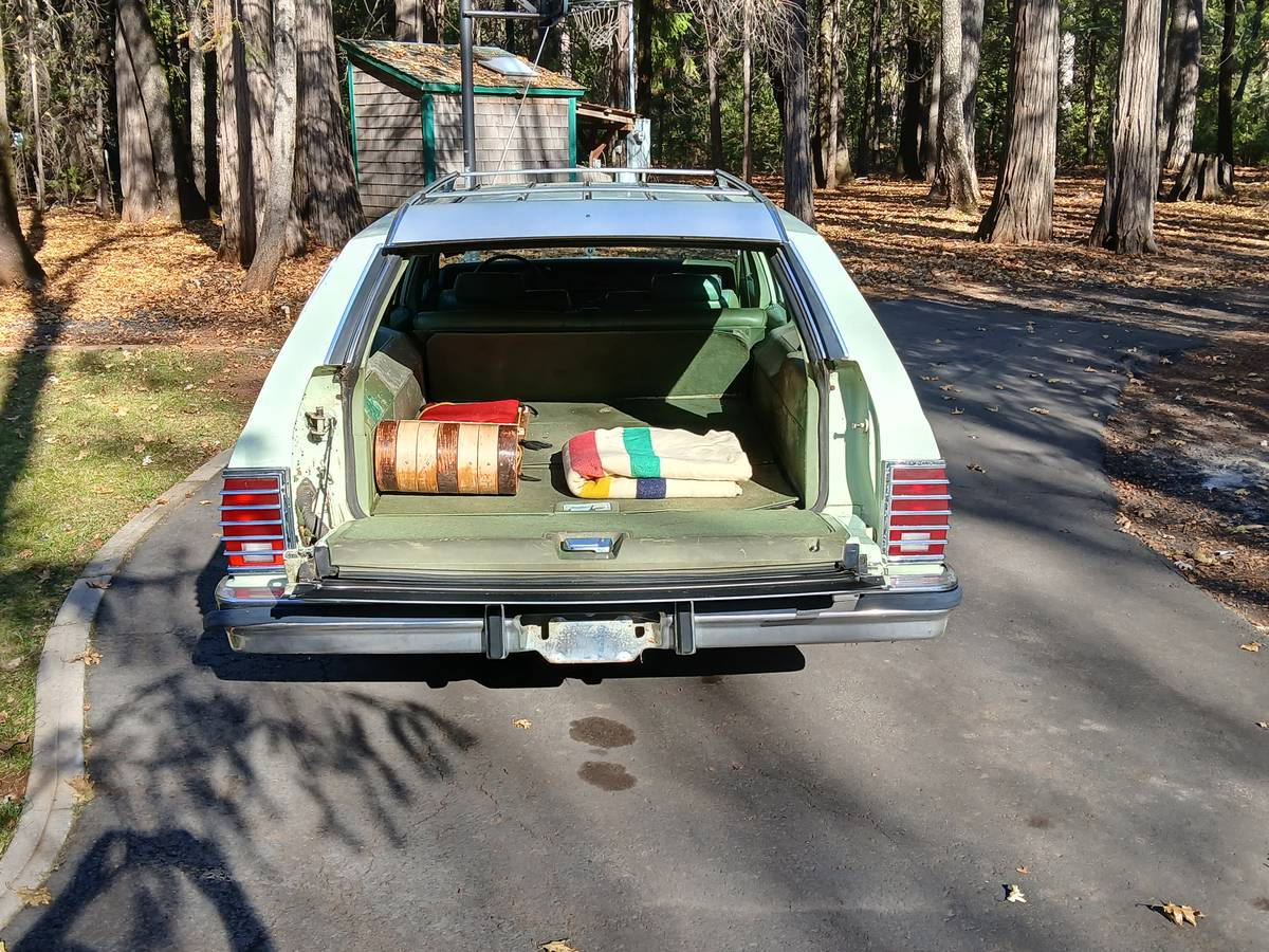 Pontiac-Grand-safari-station-wagon-1979-5