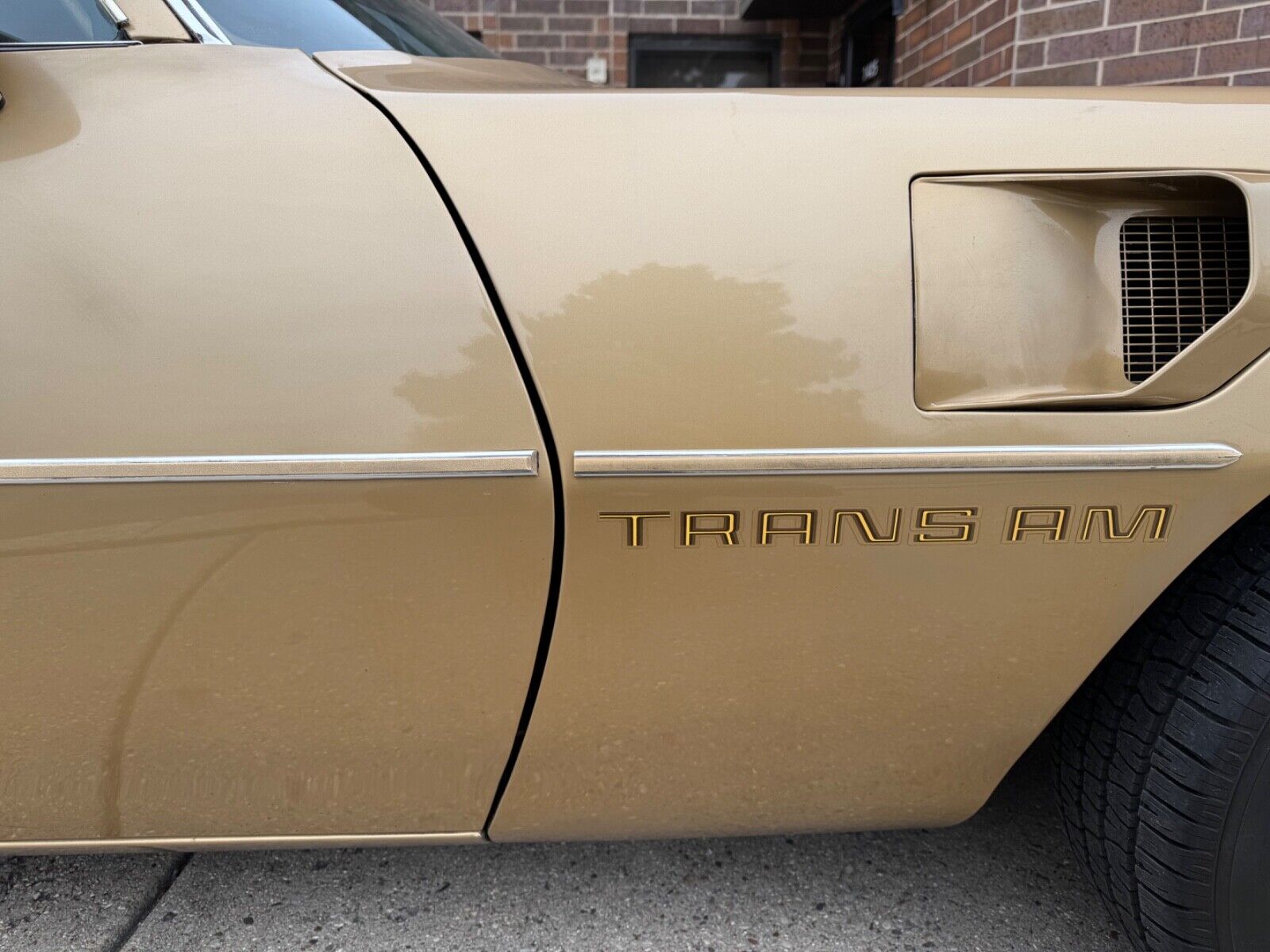 Pontiac-Trans-Am-1978-10