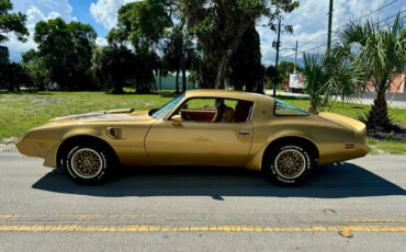 Pontiac-Trans-Am-1979-1