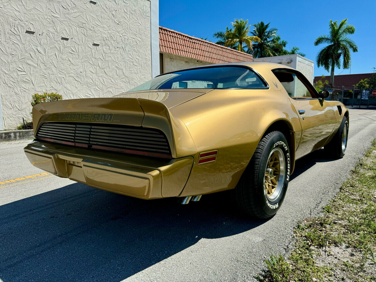 Pontiac-Trans-Am-1979-22