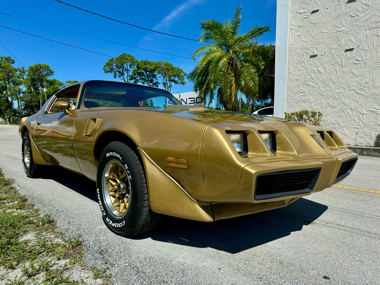 Pontiac-Trans-Am-1979-23