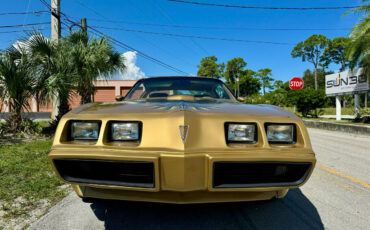 Pontiac-Trans-Am-1979-24