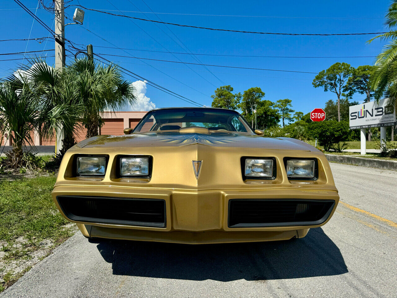 Pontiac-Trans-Am-1979-24