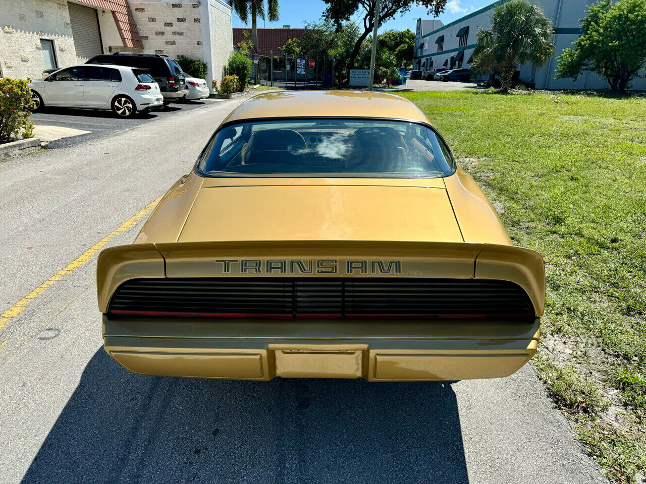 Pontiac-Trans-Am-1979-3