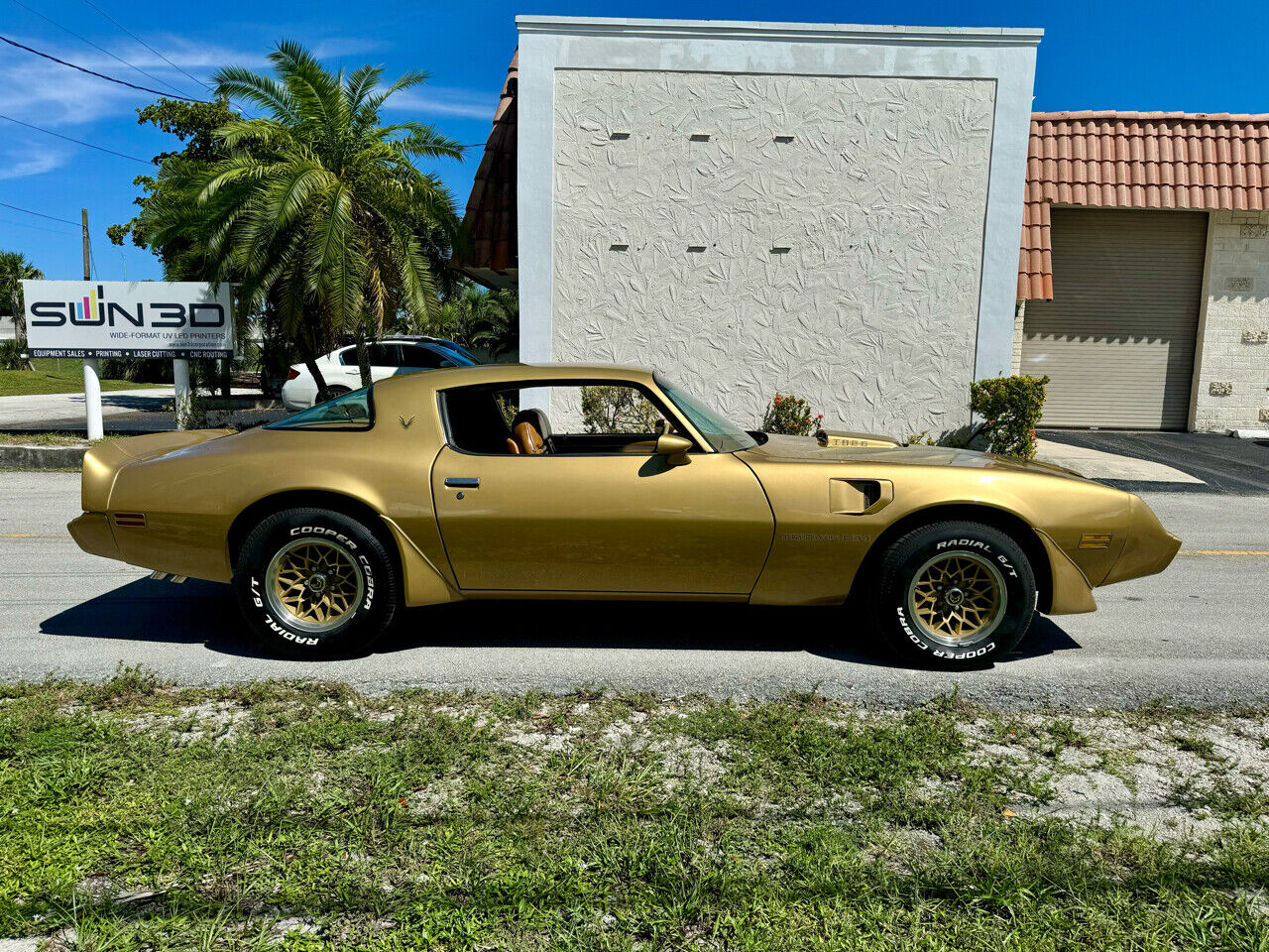 Pontiac-Trans-Am-1979-5