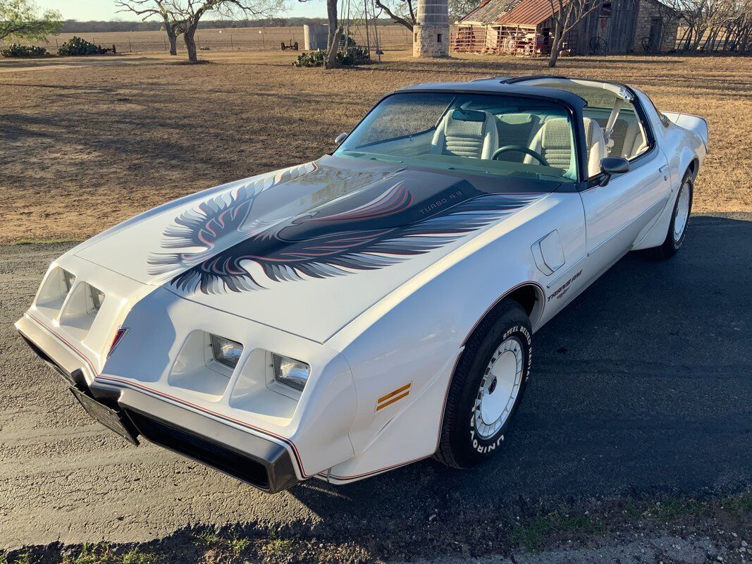 Pontiac Trans Am  1980 à vendre