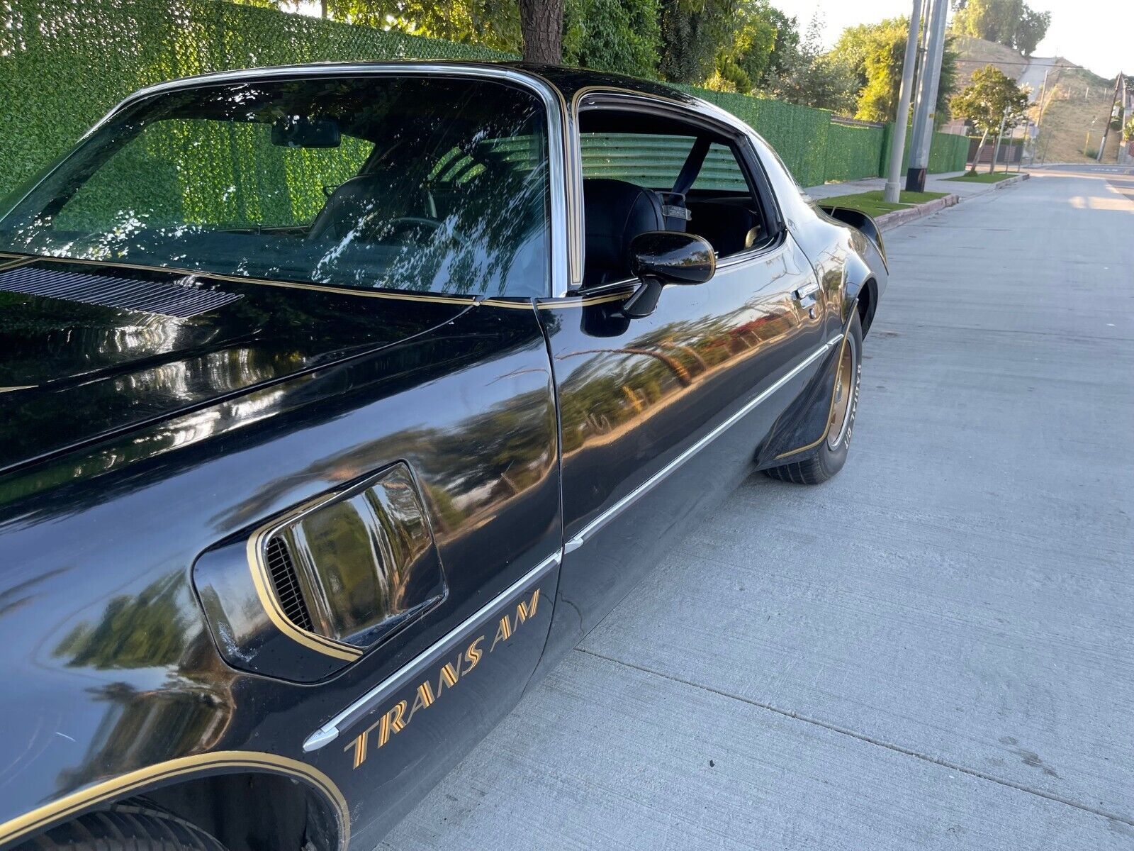 Pontiac-Trans-Am-Coupe-1976-11