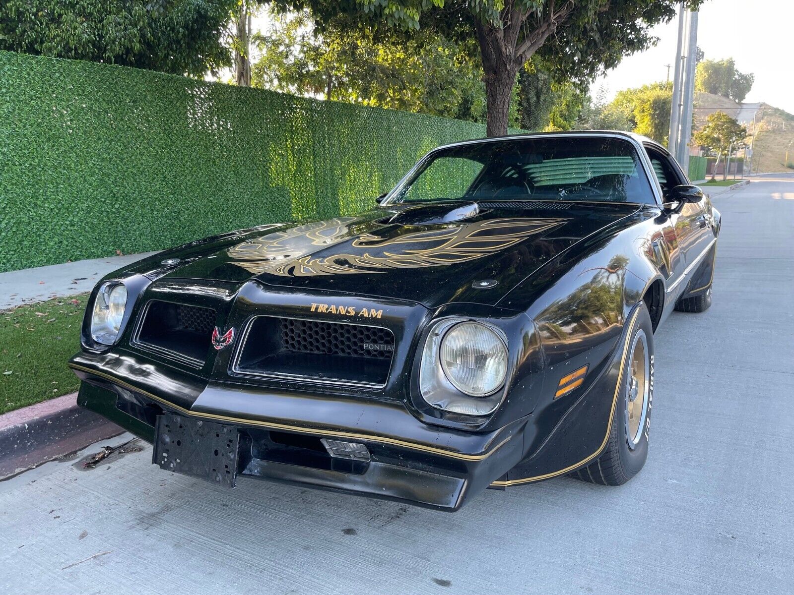 Pontiac-Trans-Am-Coupe-1976-13