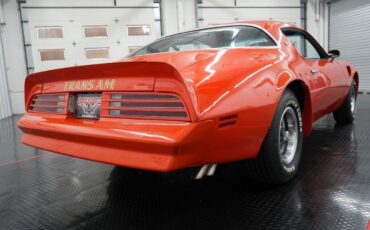 Pontiac-Trans-Am-Coupe-1976-16