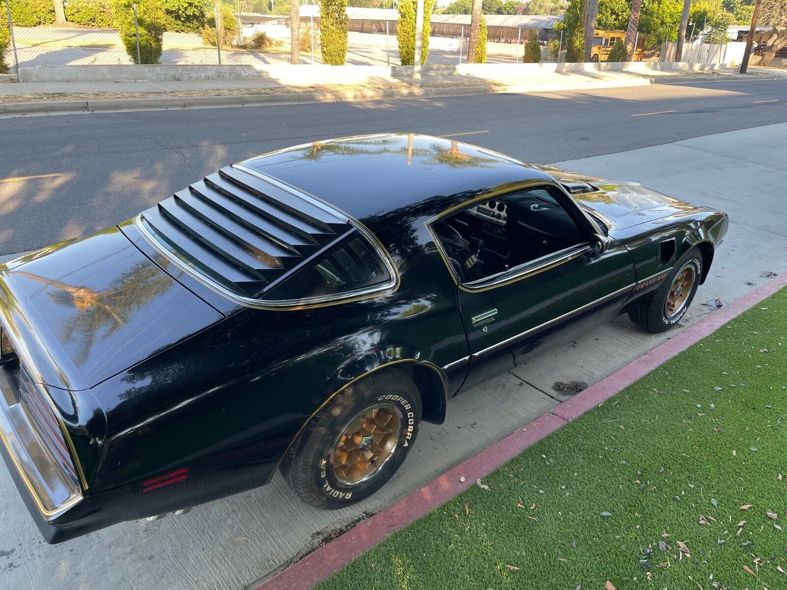 Pontiac-Trans-Am-Coupe-1976-17