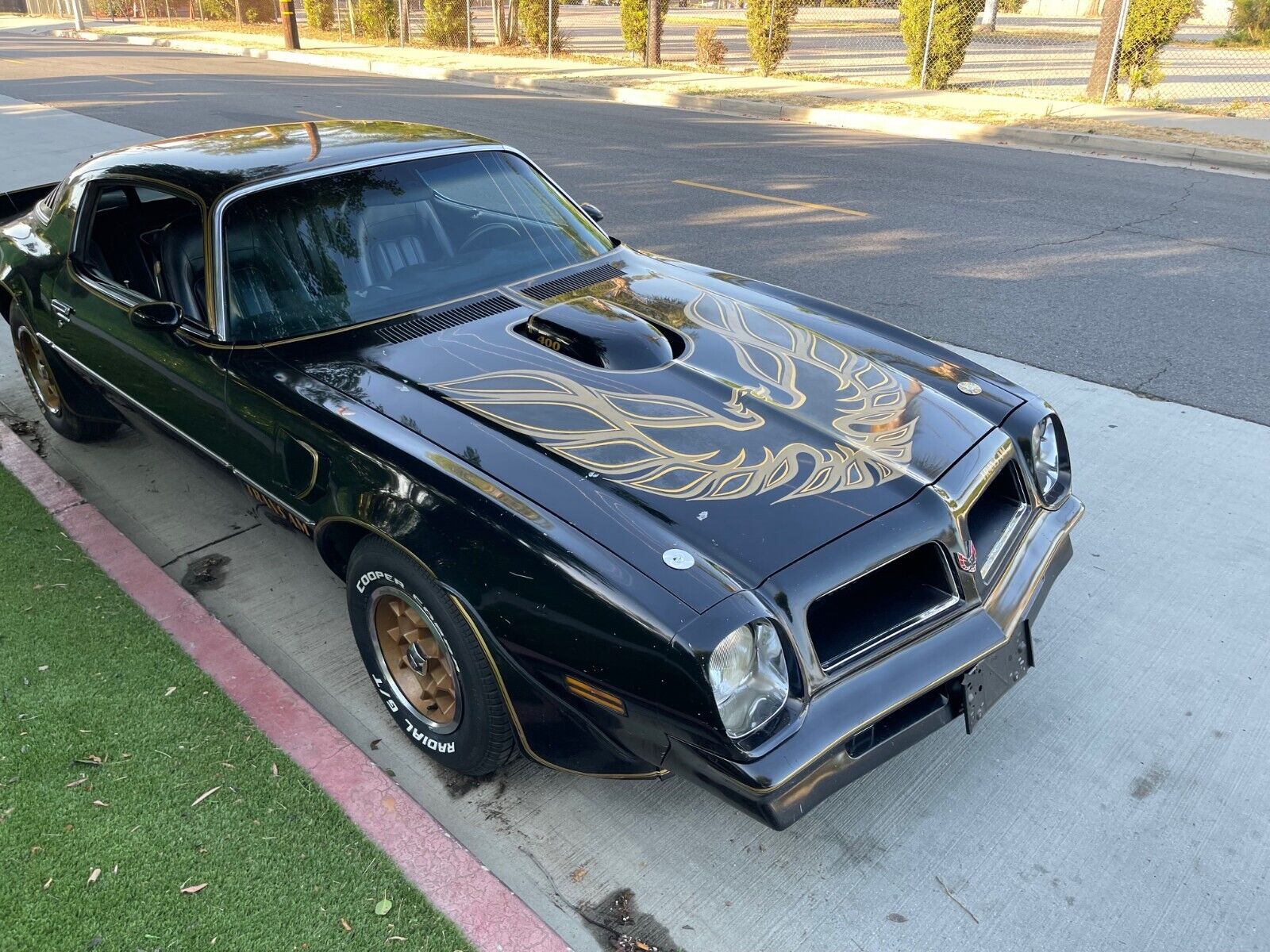 Pontiac-Trans-Am-Coupe-1976-18