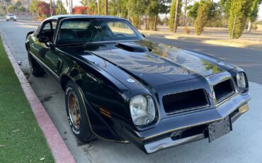 Pontiac-Trans-Am-Coupe-1976-19