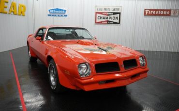 Pontiac-Trans-Am-Coupe-1976-21