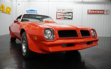 Pontiac-Trans-Am-Coupe-1976-22