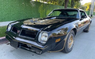 Pontiac-Trans-Am-Coupe-1976-3