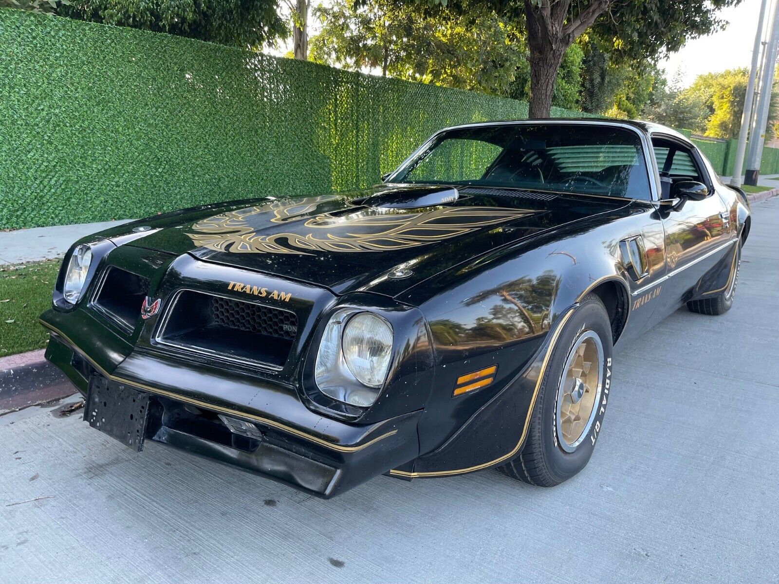 Pontiac-Trans-Am-Coupe-1976-3