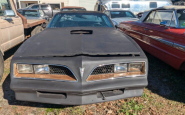 Pontiac-Trans-Am-Coupe-1977-1