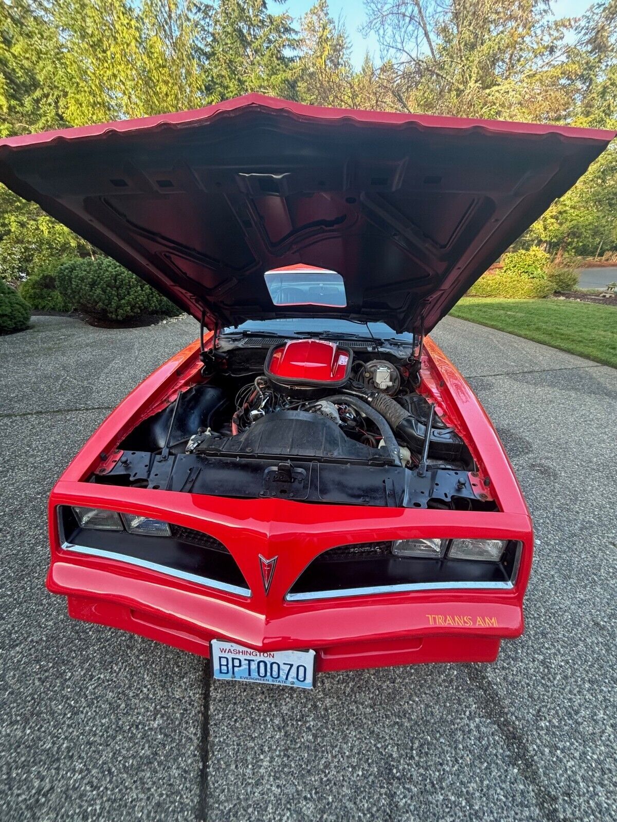 Pontiac-Trans-Am-Coupe-1977-28