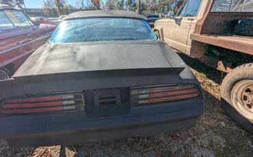 Pontiac-Trans-Am-Coupe-1977-5