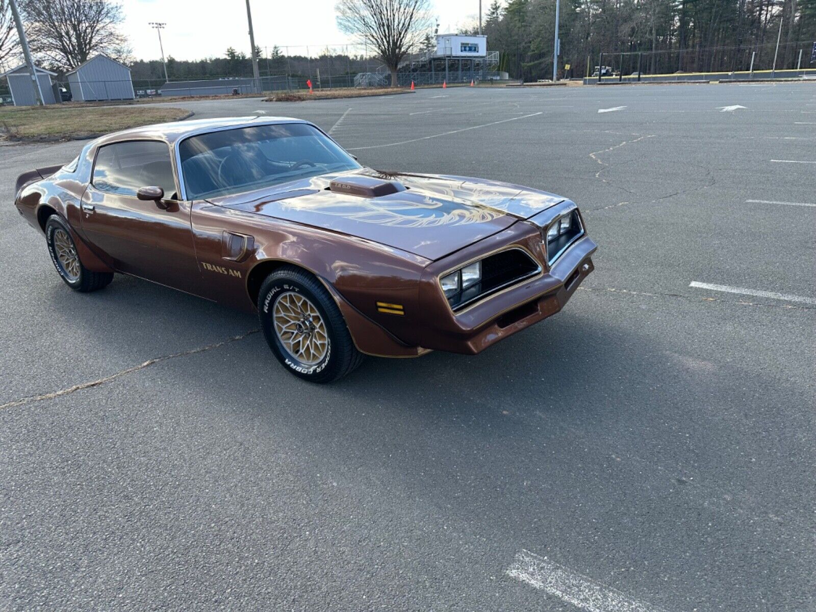 Pontiac-Trans-Am-Coupe-1978-6