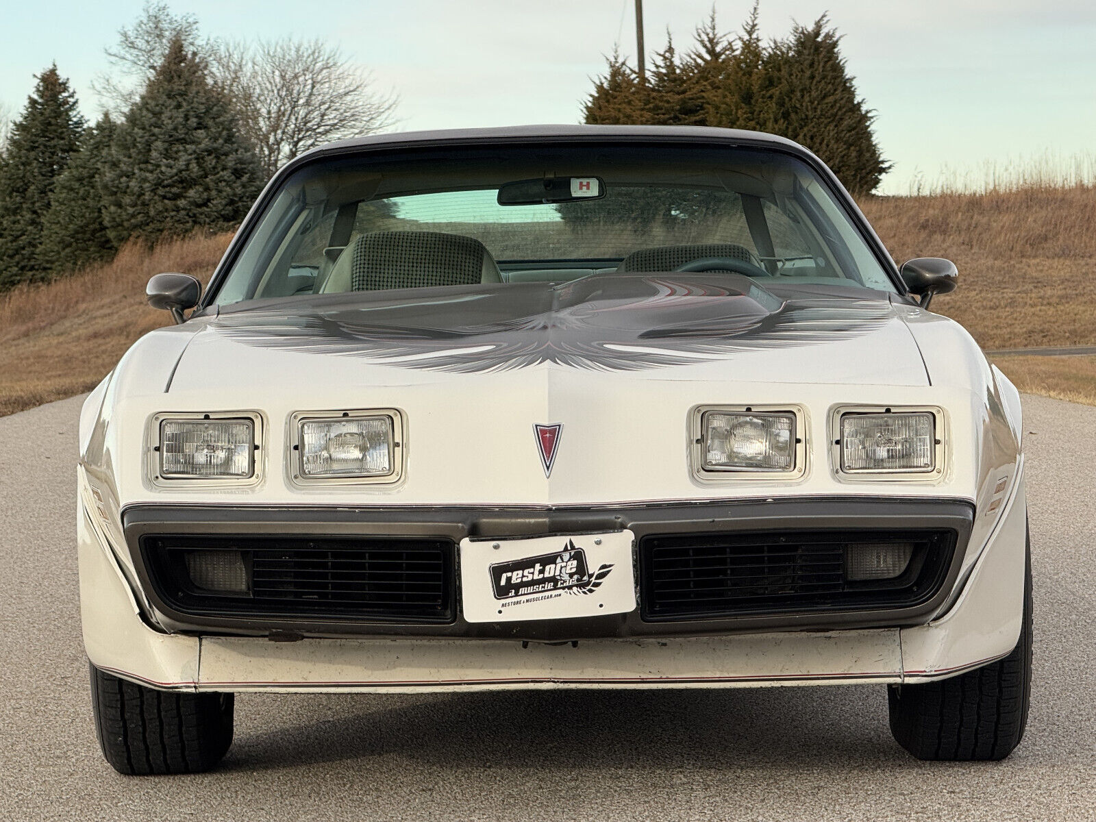 Pontiac-Trans-Am-Coupe-1980-3