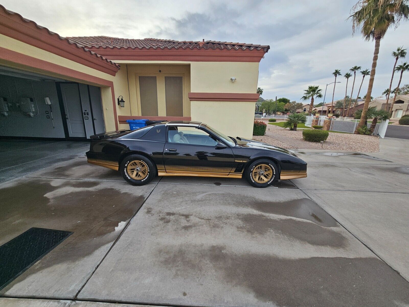 Pontiac-Trans-Am-Coupe-1984-1