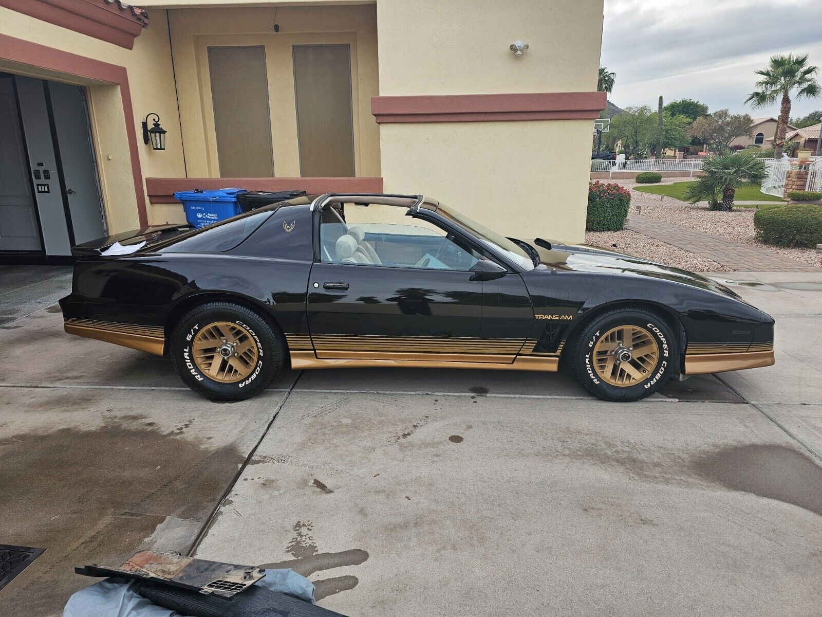 Pontiac-Trans-Am-Coupe-1984-6