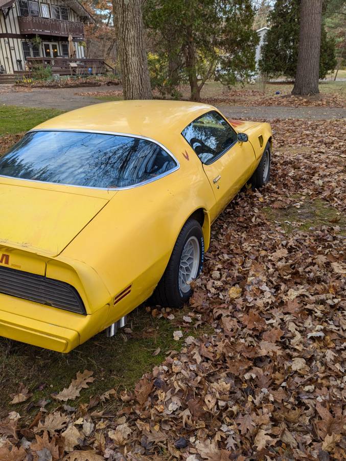 Pontiac-Trans-am-1979-2