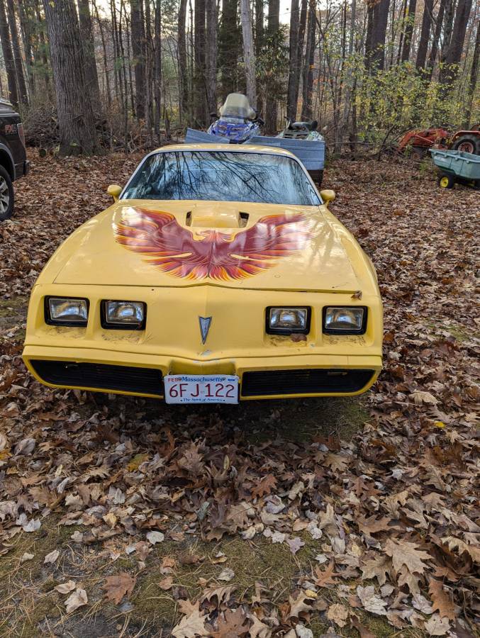 Pontiac-Trans-am-1979-4