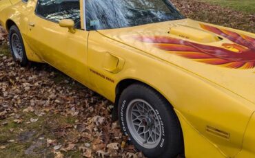 Pontiac-Trans-am-1979-6