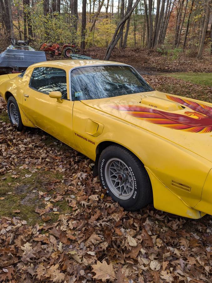 Pontiac-Trans-am-1979-6