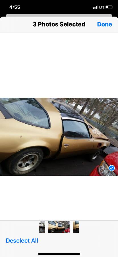 Pontiac-Transam-1979-1