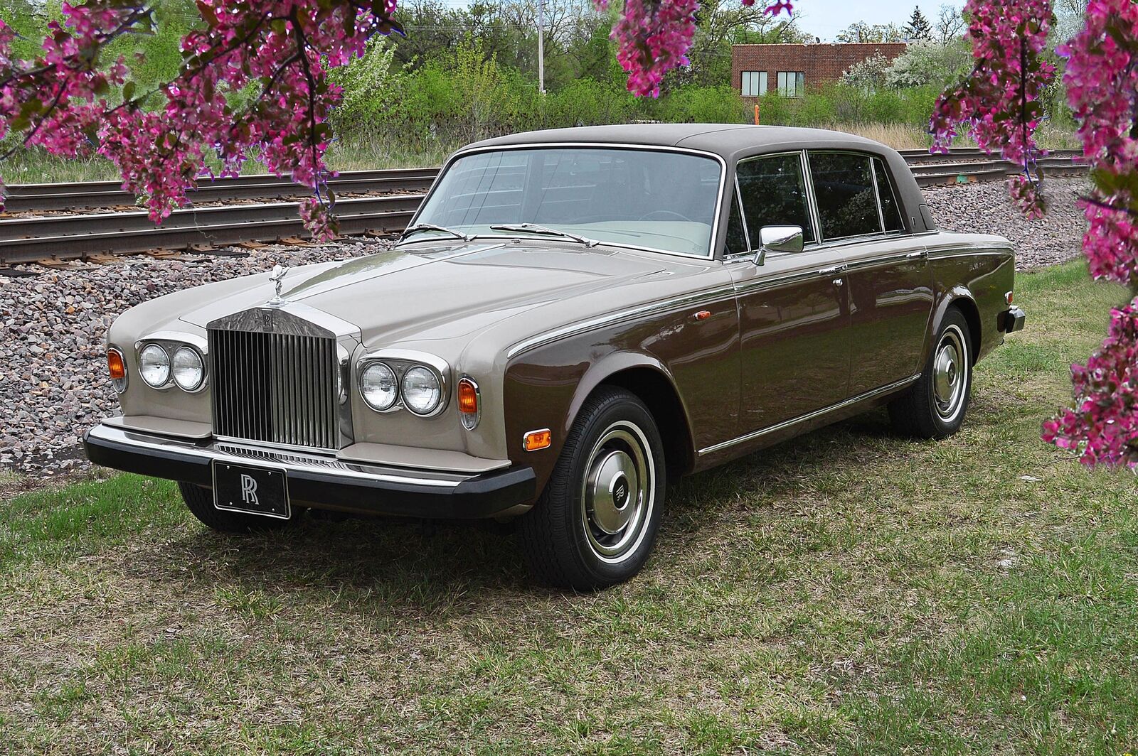 Rolls Royce Silver Wraith II  1979