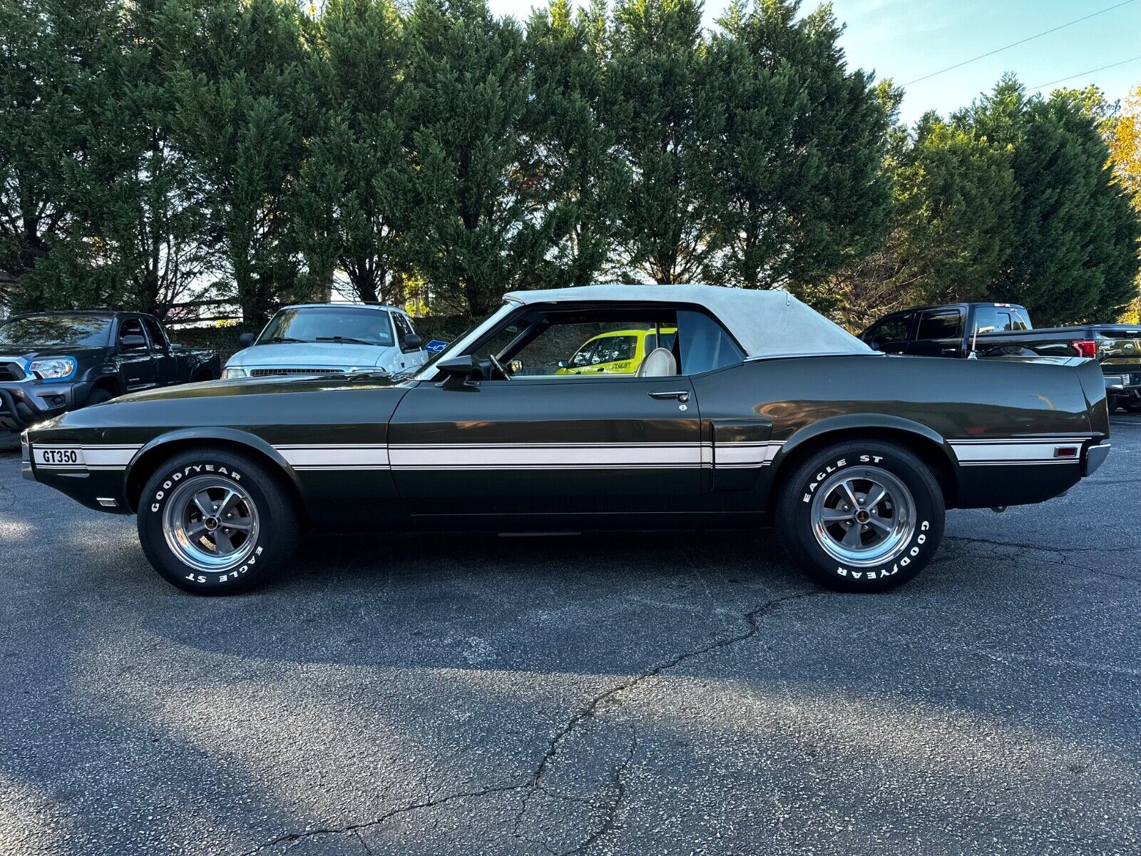 Shelby-350GT-Cabriolet-1969-3