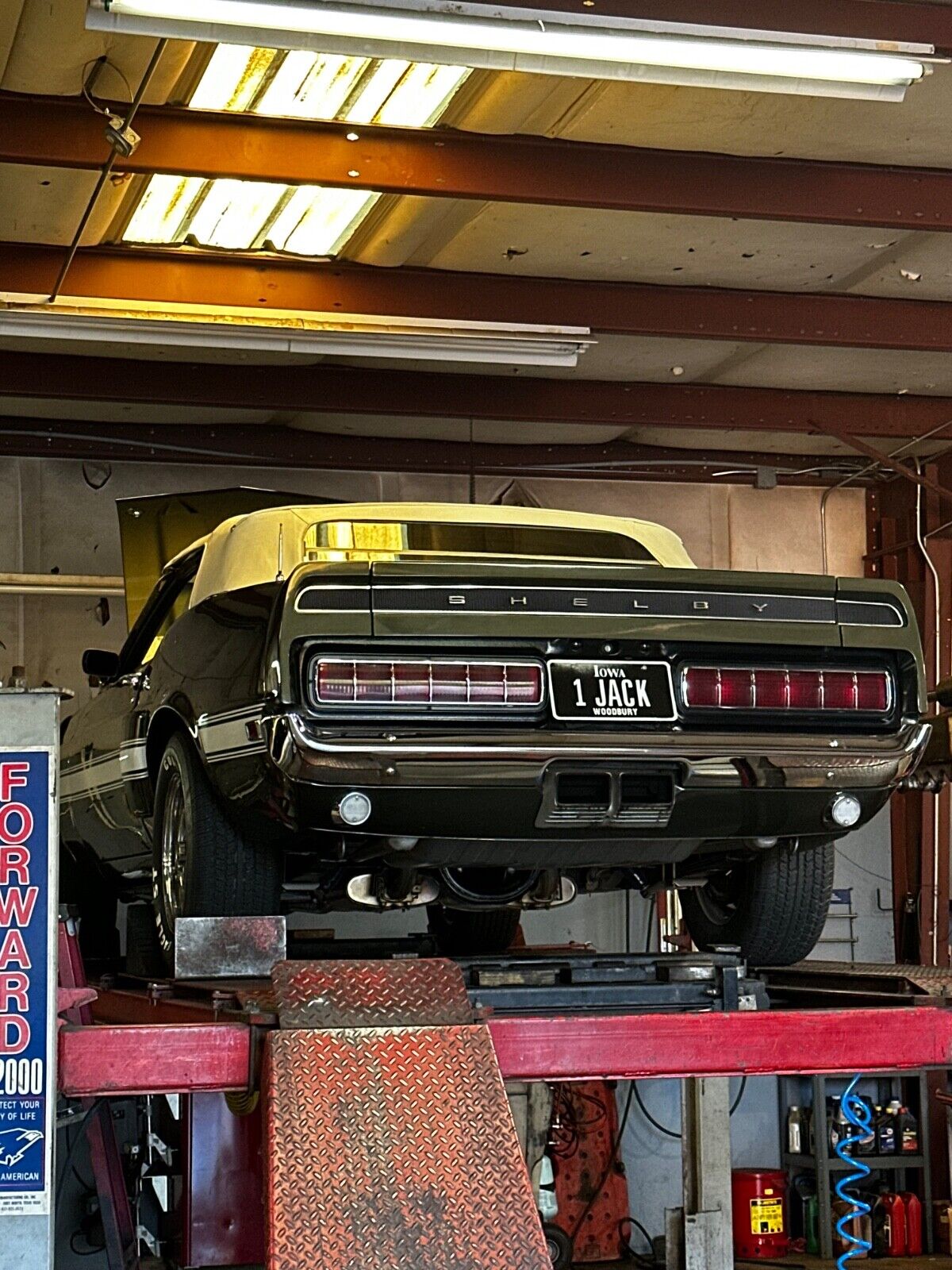 Shelby-350GT-Cabriolet-1969-31