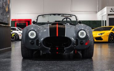 Shelby-Cobra-427-Coupe-1965-31