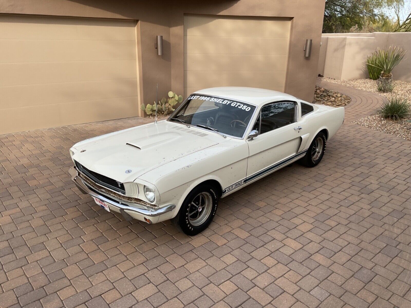 Shelby-GT-350-Coupe-1966-1