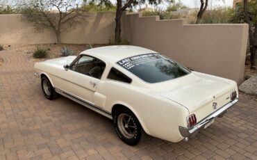 Shelby-GT-350-Coupe-1966-17