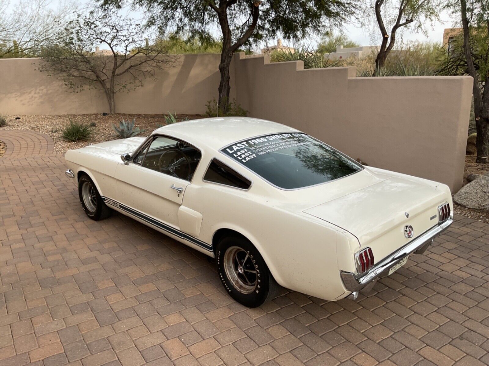 Shelby-GT-350-Coupe-1966-17