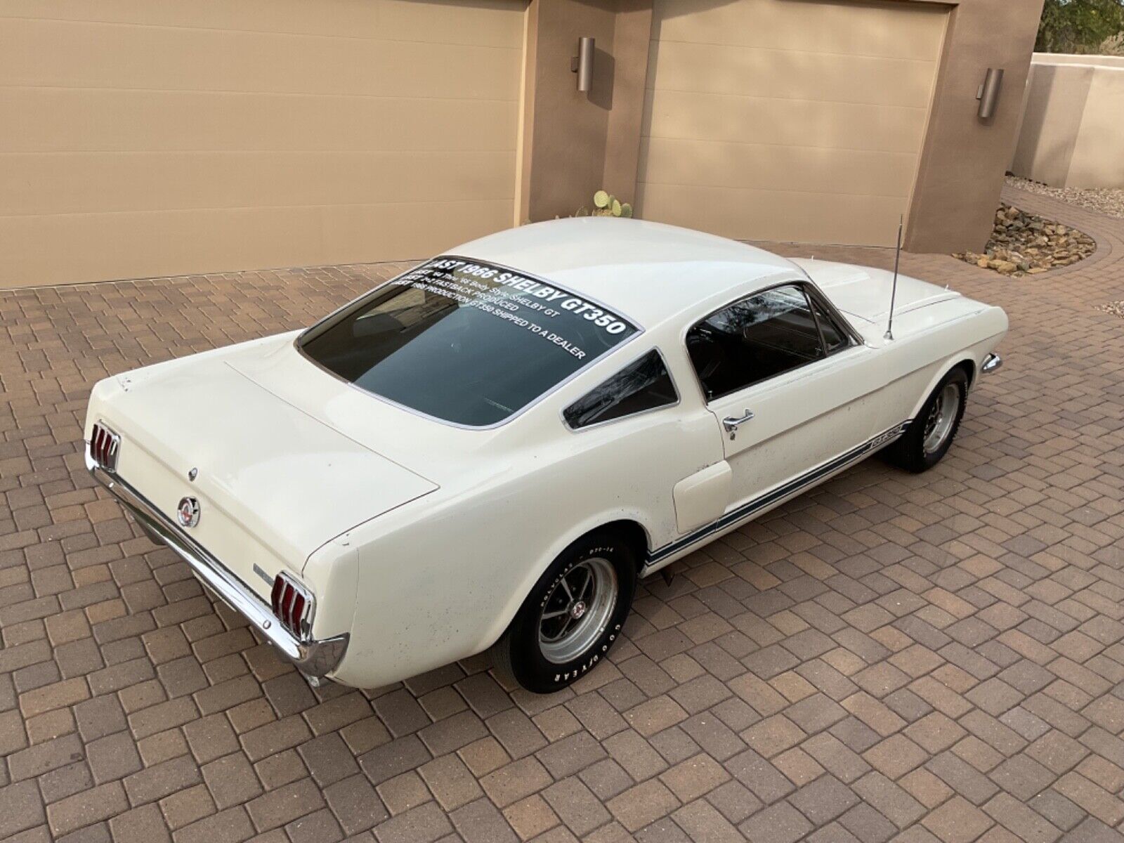 Shelby-GT-350-Coupe-1966-18