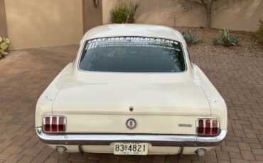 Shelby-GT-350-Coupe-1966-19