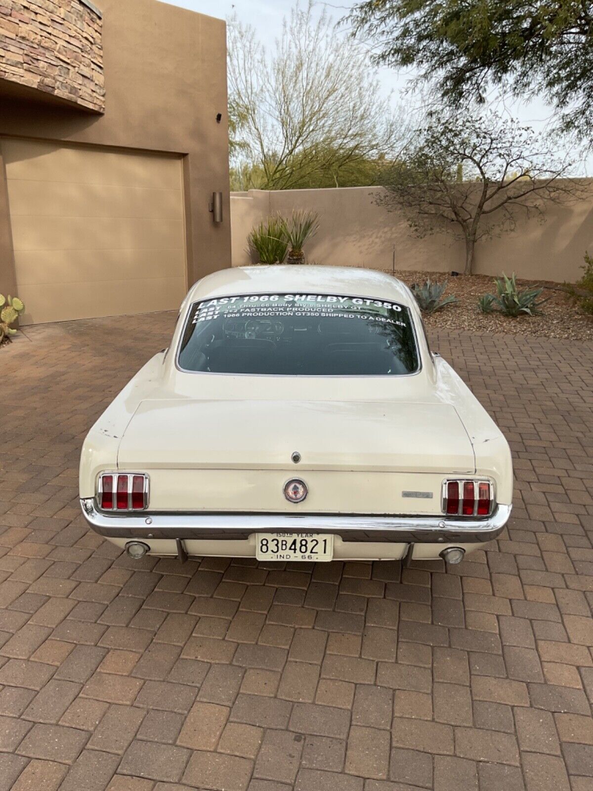 Shelby-GT-350-Coupe-1966-19