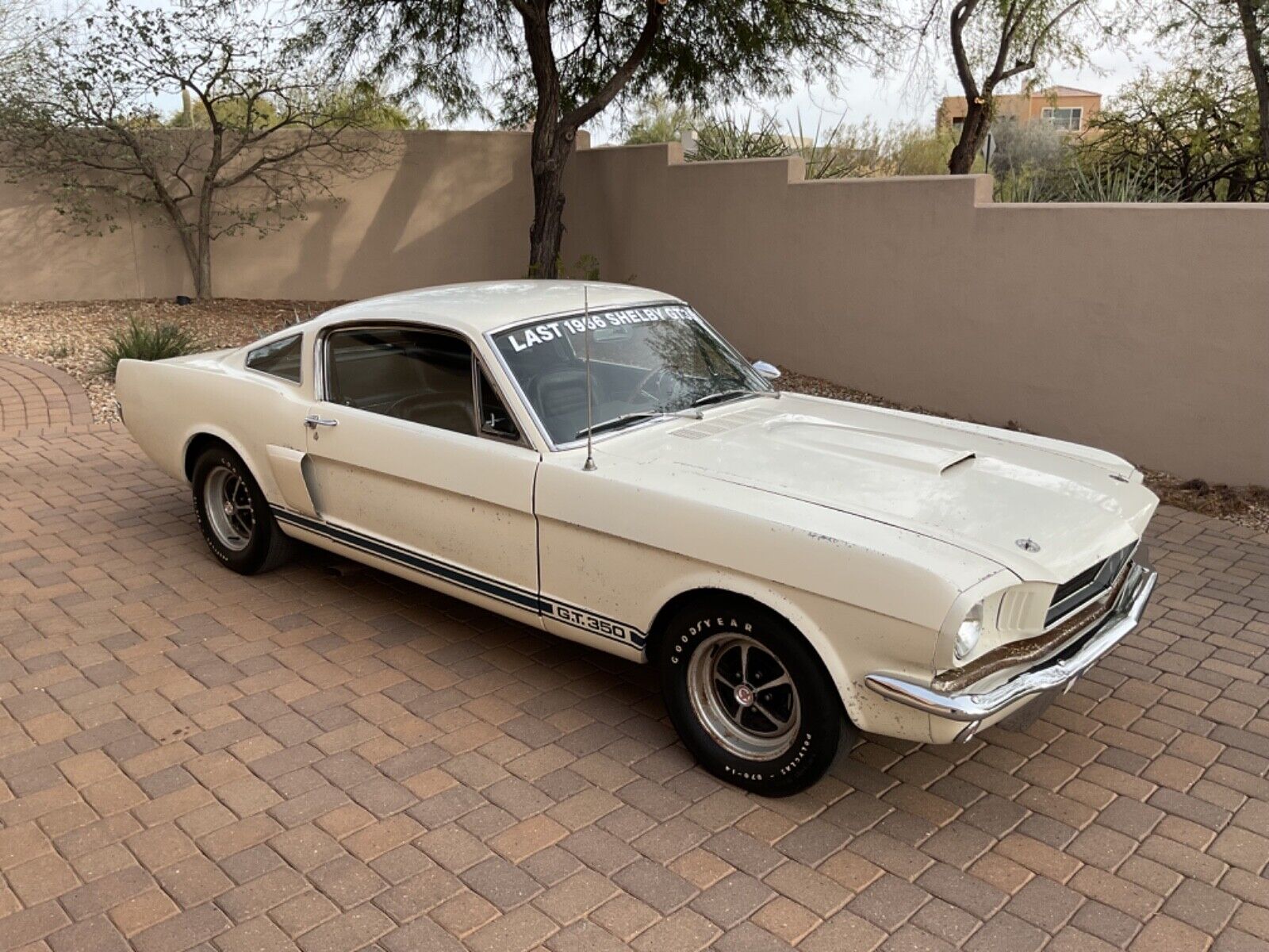 Shelby-GT-350-Coupe-1966-2