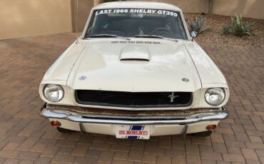 Shelby-GT-350-Coupe-1966-3